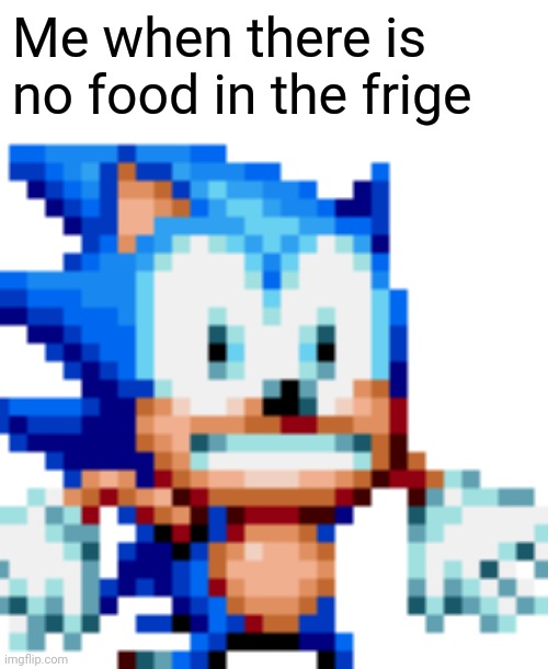 Panic with the food | Me when there is no food in the frige | image tagged in frosted sonic | made w/ Imgflip meme maker