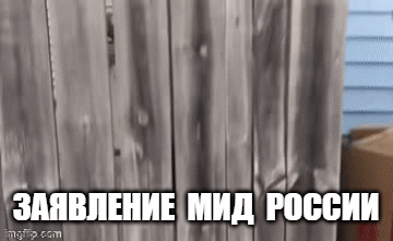 РФ висилає сімох дипломатів Словаччини, Литви, Латвії та Естонії - Цензор.НЕТ 6904