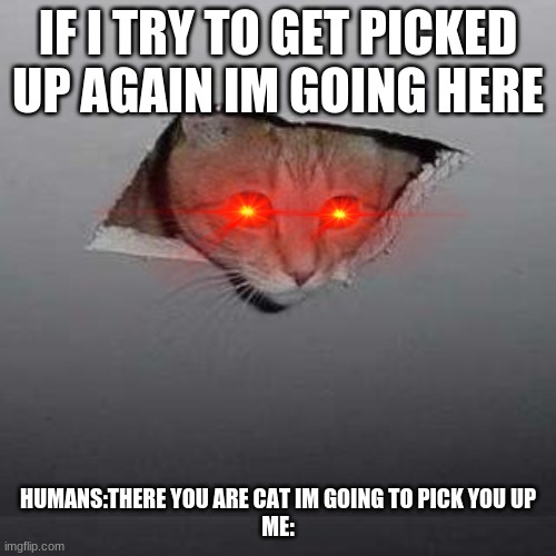 Ceiling Cat Meme | IF I TRY TO GET PICKED UP AGAIN IM GOING HERE; HUMANS:THERE YOU ARE CAT IM GOING TO PICK YOU UP
ME: | image tagged in memes,ceiling cat | made w/ Imgflip meme maker