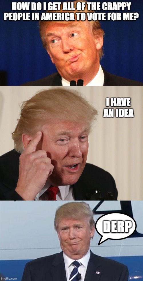 HOW DO I GET ALL OF THE CRAPPY PEOPLE IN AMERICA TO VOTE FOR ME? I HAVE AN IDEA; DERP | image tagged in trump thinking hard,trump thinking,trump face | made w/ Imgflip meme maker