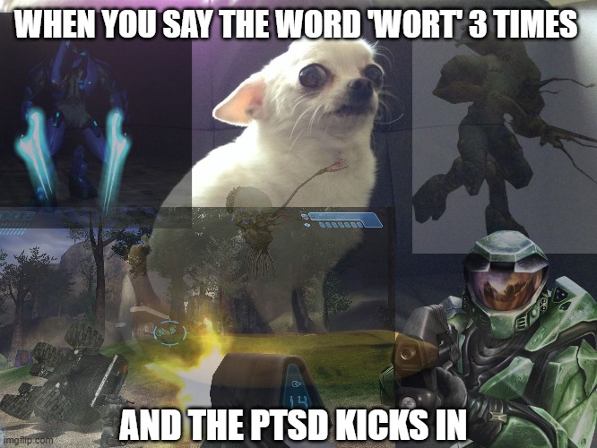 Never forgotten | WHEN YOU SAY THE WORD 'WORT' 3 TIMES; AND THE PTSD KICKS IN | image tagged in halo | made w/ Imgflip meme maker