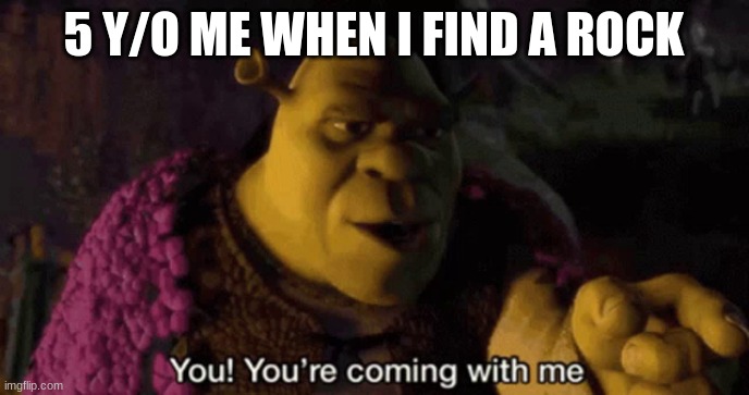 Hehe | 5 Y/O ME WHEN I FIND A ROCK | image tagged in shrek your coming with me,memes,funny,funny memes | made w/ Imgflip meme maker