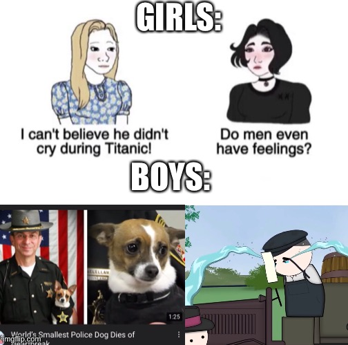I was literally crying over this all morning and I’m a guy. | GIRLS:; BOYS: | image tagged in girls vs boys sad meme template,memenade,memes,girls vs boys memes,dog died | made w/ Imgflip meme maker