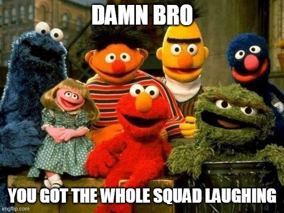 DAMN BRO; YOU GOT THE WHOLE SQUAD LAUGHING | image tagged in damn bro,damn bro you got the whole squad laughing,sesame street | made w/ Imgflip meme maker