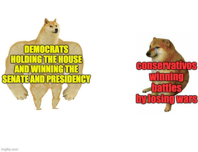 Buff Doge vs. Cheems Meme | DEMOCRATS HOLDING THE HOUSE AND WINNING THE SENATE AND PRESIDENCY conservativos winning
battles by losing wars | image tagged in memes,buff doge vs cheems | made w/ Imgflip meme maker