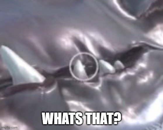 WHATS THAT? | made w/ Imgflip meme maker