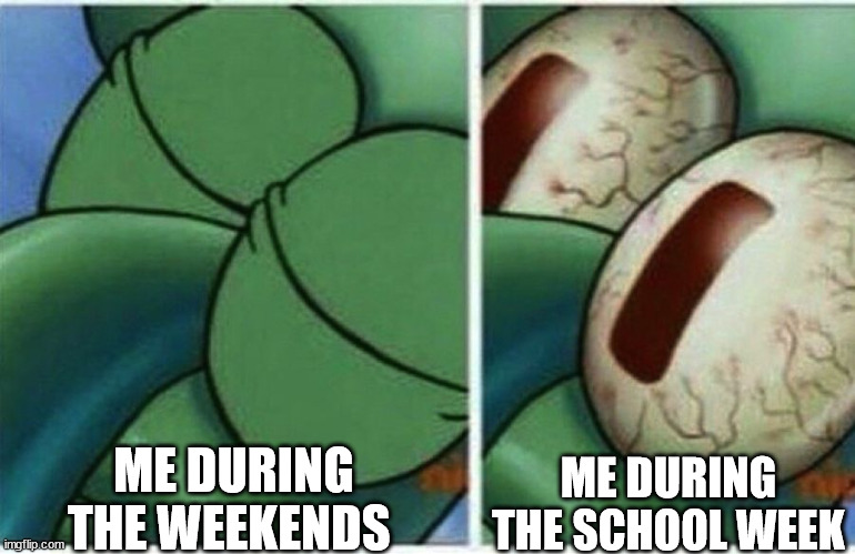 My life in school | ME DURING THE WEEKENDS; ME DURING THE SCHOOL WEEK | image tagged in squidward,memes | made w/ Imgflip meme maker