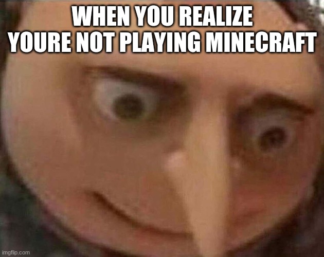 gru meme | WHEN YOU REALIZE YOURE NOT PLAYING MINECRAFT | image tagged in gru meme | made w/ Imgflip meme maker