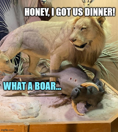 Boaring-Ass Meme | HONEY, I GOT US DINNER! WHAT A BOAR... | image tagged in lion,lion king,the lion king,couple,couples,couple arguing | made w/ Imgflip meme maker