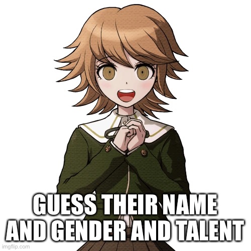 GUESS THEIR NAME AND GENDER AND TALENT | made w/ Imgflip meme maker