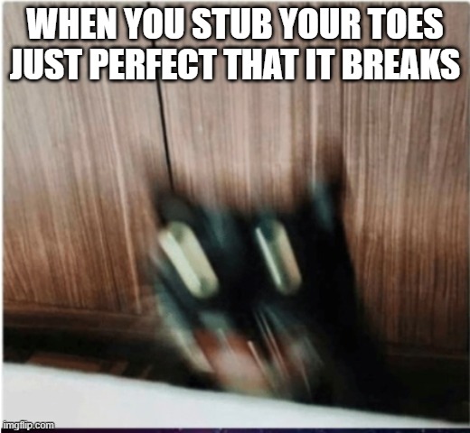 me toesss | WHEN YOU STUB YOUR TOES JUST PERFECT THAT IT BREAKS | image tagged in lol,cats,fun,funny memes,stubed toes | made w/ Imgflip meme maker