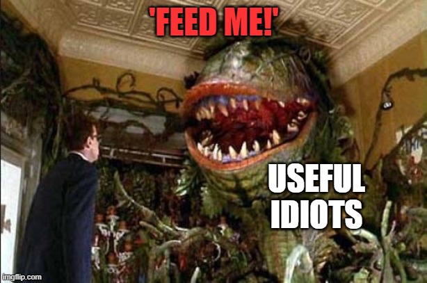 Feed me | 'FEED ME!' USEFUL
IDIOTS | image tagged in feed me | made w/ Imgflip meme maker