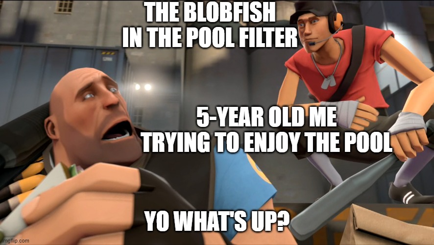 Yo what's up ? |  THE BLOBFISH IN THE POOL FILTER; 5-YEAR OLD ME TRYING TO ENJOY THE POOL; YO WHAT'S UP? | image tagged in yo what's up | made w/ Imgflip meme maker