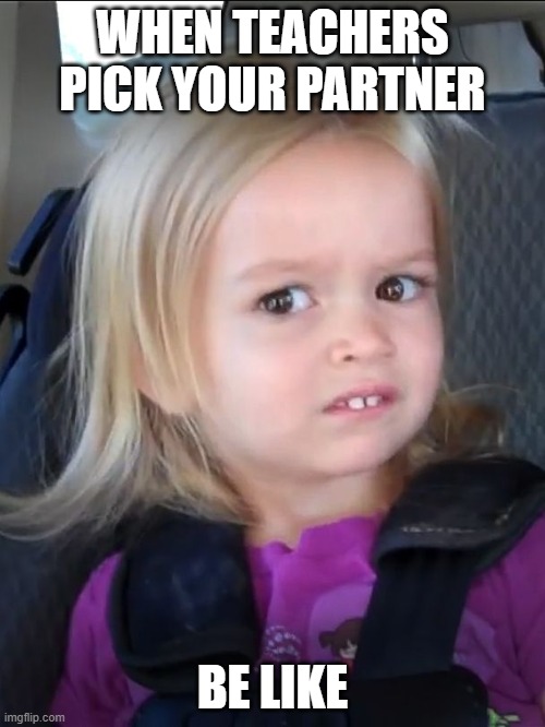  WHEN TEACHERS PICK YOUR PARTNER; BE LIKE | image tagged in lol,memes,funny | made w/ Imgflip meme maker