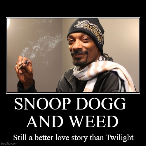 I mean... everything is a better love story than Twilight | SNOOP DOGG 
AND WEED | Still a better love story than Twilight | image tagged in funny,demotivationals,memes,snoop dogg,weed,still a better love story than twilight | made w/ Imgflip demotivational maker