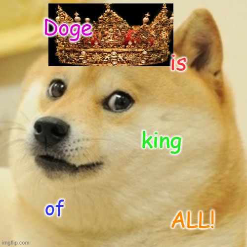 another doge spam | Doge; is; king; of; ALL! | image tagged in memes,doge | made w/ Imgflip meme maker