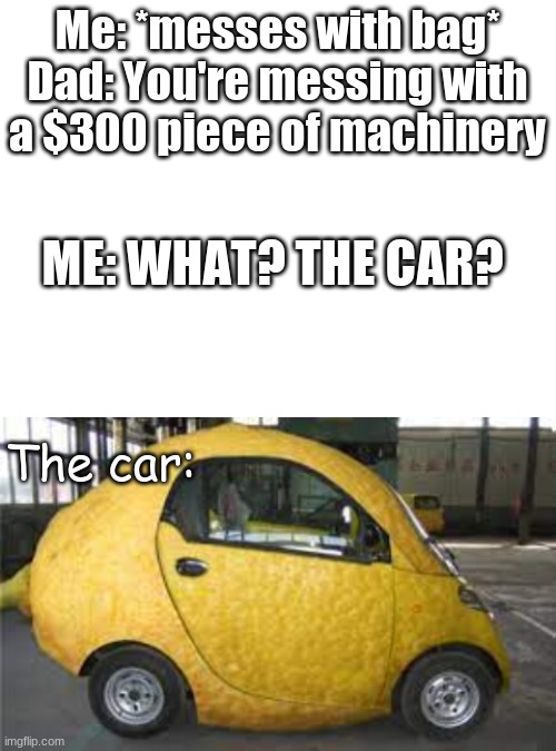 True Story | Me: *messes with bag*
Dad: You're messing with a $300 piece of machinery; ME: WHAT? THE CAR? The car: | image tagged in blank white template | made w/ Imgflip meme maker