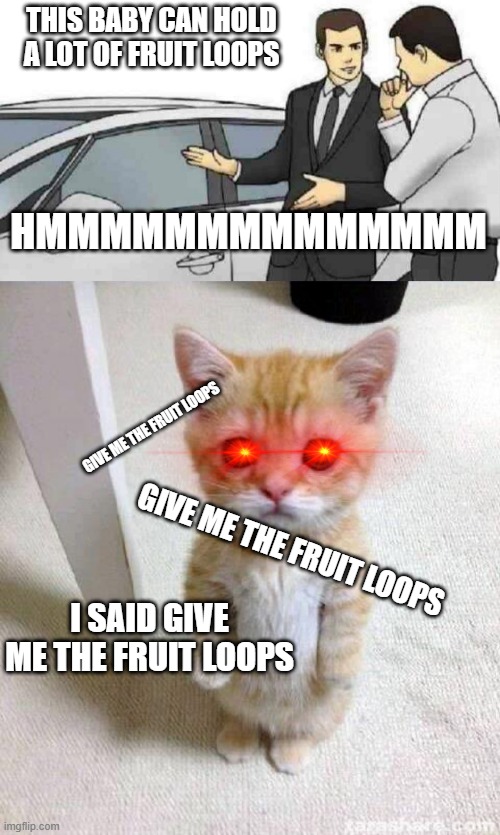 FUD | THIS BABY CAN HOLD A LOT OF FRUIT LOOPS; HMMMMMMMMMMMMMM; GIVE ME THE FRUIT LOOPS; GIVE ME THE FRUIT LOOPS; I SAID GIVE ME THE FRUIT LOOPS | image tagged in memes,car salesman slaps roof of car,cute cat | made w/ Imgflip meme maker