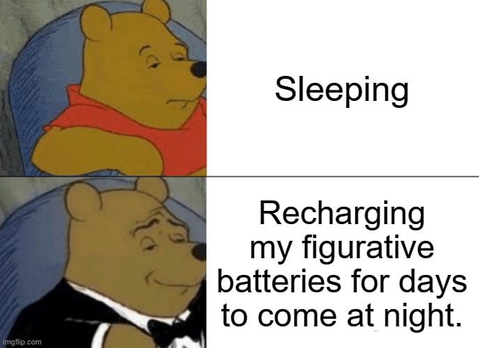 Tuxedo Winnie The Pooh Meme | Sleeping; Recharging my figurative batteries for days to come at night. | image tagged in memes,tuxedo winnie the pooh | made w/ Imgflip meme maker