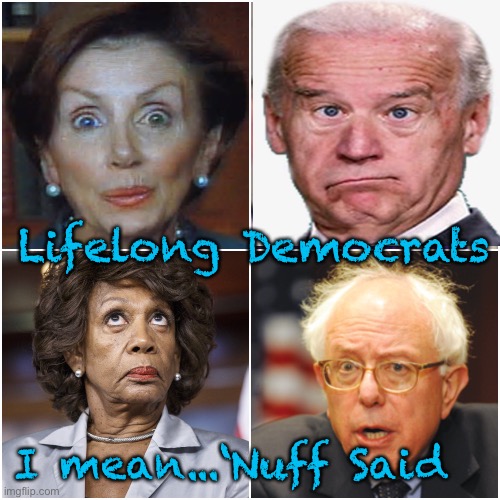 Seriously?       •       <neverwoke> | Lifelong Democrats; I mean...‘Nuff Said | image tagged in these people run the country,more like sitcom actors,demonrats,do you trust these people,madness,wacky | made w/ Imgflip meme maker