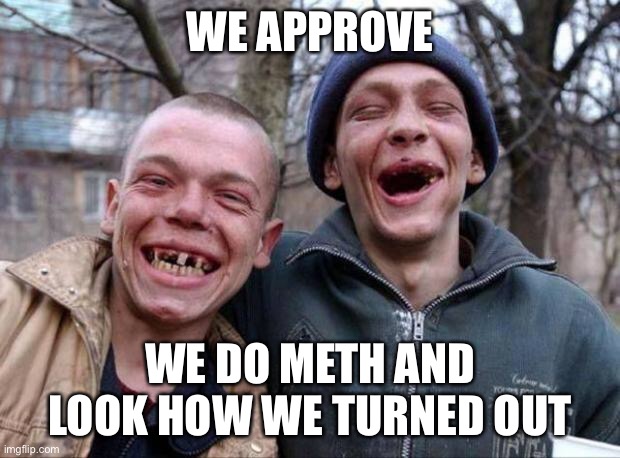 No teeth | WE APPROVE WE DO METH AND LOOK HOW WE TURNED OUT | image tagged in no teeth | made w/ Imgflip meme maker