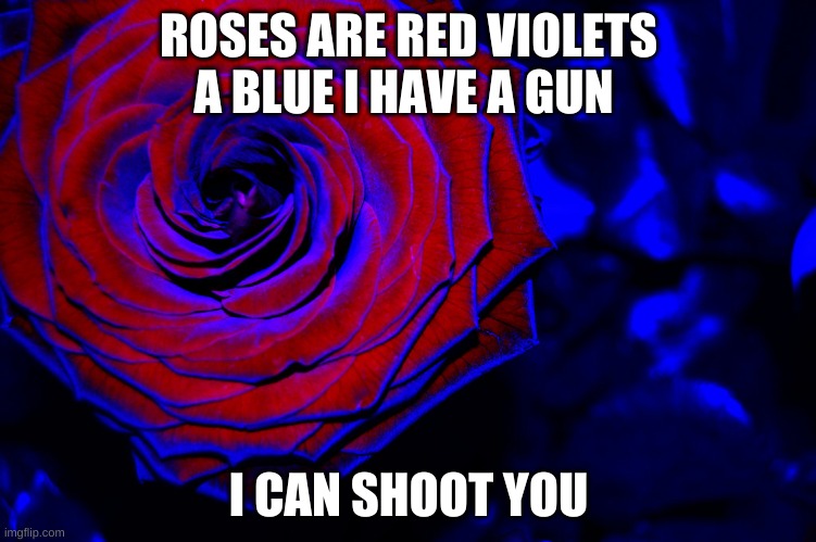 roses are red | ROSES ARE RED VIOLETS A BLUE I HAVE A GUN; I CAN SHOOT YOU | image tagged in roses are red violets are blue | made w/ Imgflip meme maker