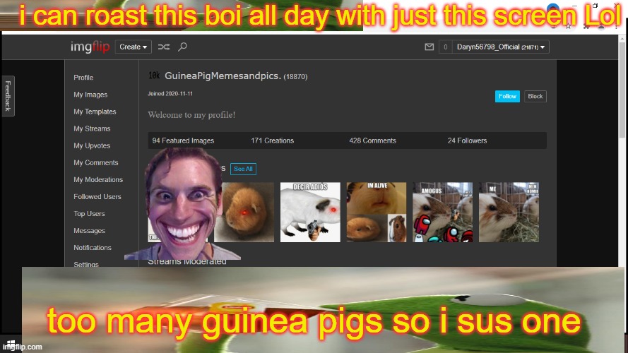 Im just looking at his profile so maybe i can catch a guinea pig meme And i am following him. Don't hate im just joking | i can roast this boi all day with just this screen Lol; too many guinea pigs so i sus one | made w/ Imgflip meme maker