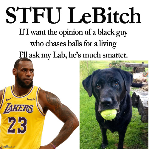 LeBitch | image tagged in lebron james,stupid liberals,libtards,dumbass,i'm the dumbest man alive | made w/ Imgflip meme maker