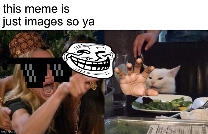 Woman Yelling At Cat Meme | this meme is just images so ya | image tagged in memes,woman yelling at cat | made w/ Imgflip meme maker