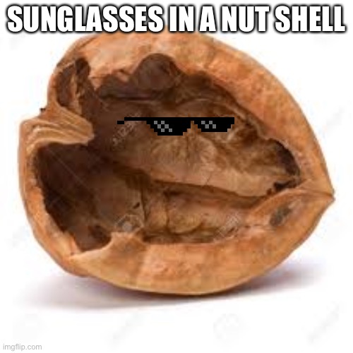 In a nut shell | SUNGLASSES IN A NUT SHELL | image tagged in in a nut shell | made w/ Imgflip meme maker