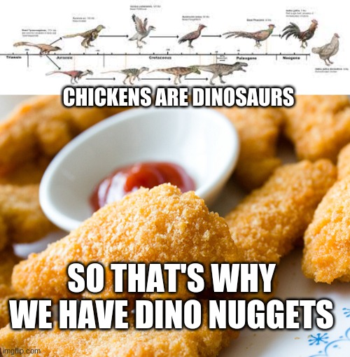 it all makes sense now! | CHICKENS ARE DINOSAURS; SO THAT'S WHY WE HAVE DINO NUGGETS | image tagged in memes,dino nuggets,mind blown | made w/ Imgflip meme maker