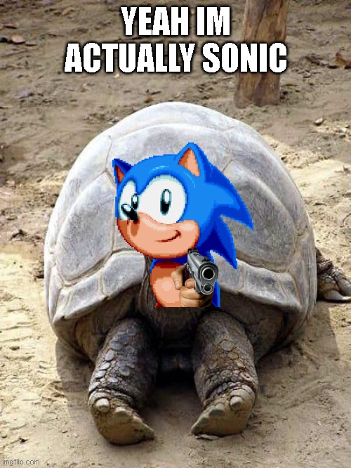 Smiling happy excited tortoise | YEAH IM ACTUALLY SONIC | image tagged in smiling happy excited tortoise | made w/ Imgflip meme maker