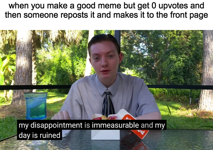My Disappointment Is Immeasurable | when you make a good meme but get 0 upvotes and then someone reposts it and makes it to the front page | image tagged in my disappointment is immeasurable | made w/ Imgflip meme maker