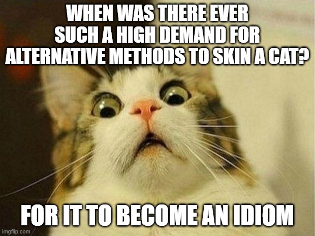 Scared Cat Meme | WHEN WAS THERE EVER SUCH A HIGH DEMAND FOR ALTERNATIVE METHODS TO SKIN A CAT? FOR IT TO BECOME AN IDIOM | image tagged in memes,scared cat | made w/ Imgflip meme maker