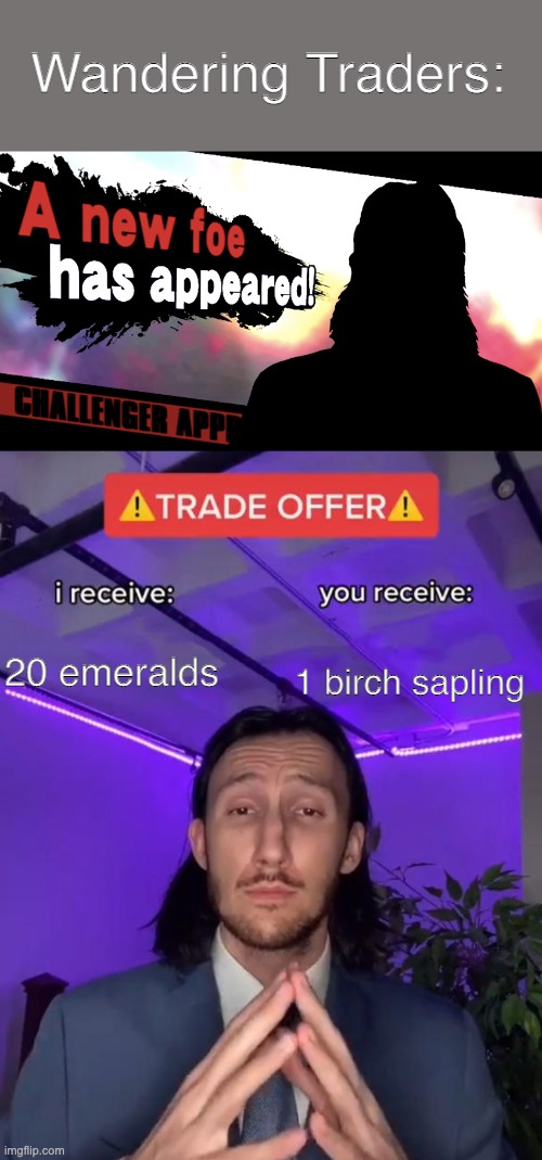 trade offer | Wandering Traders:; 1 birch sapling; 20 emeralds | image tagged in trade offer | made w/ Imgflip meme maker