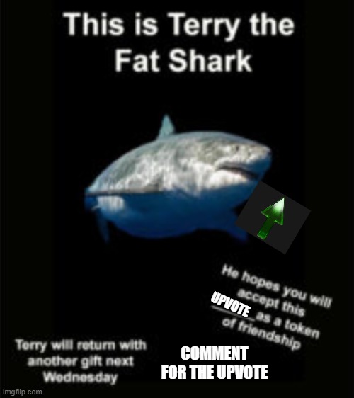 Terry the fat shark | UPVOTE; COMMENT FOR THE UPVOTE | image tagged in terry the fat shark | made w/ Imgflip meme maker