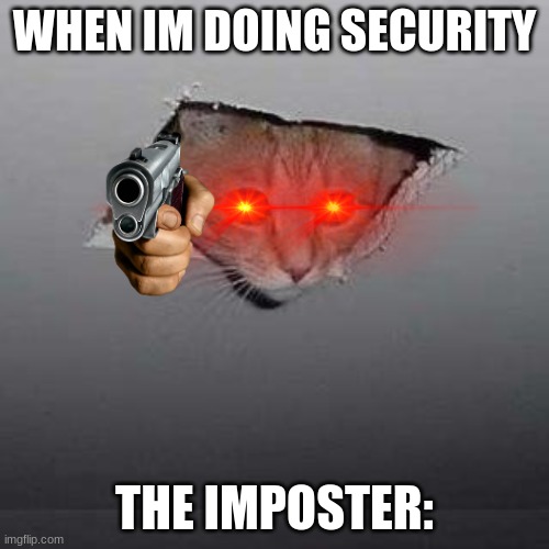 Ceiling Cat Meme | WHEN IM DOING SECURITY; THE IMPOSTER: | image tagged in memes,ceiling cat | made w/ Imgflip meme maker
