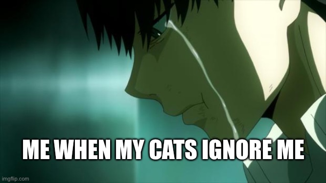 My Cats Ignore Me.. | ME WHEN MY CATS IGNORE ME | image tagged in after watching tokyo ghoul,tokyo ghoul,kaneki,sad,cats | made w/ Imgflip meme maker