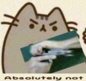 High Quality Absolutely not Pusheen Blank Meme Template