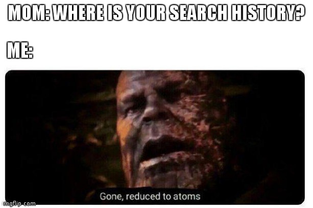 Gone | MOM: WHERE IS YOUR SEARCH HISTORY? ME: | image tagged in gone reduced to atoms | made w/ Imgflip meme maker