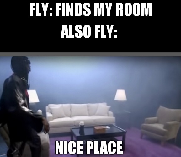 But why? | ALSO FLY:; FLY: FINDS MY ROOM; NICE PLACE | image tagged in nice place | made w/ Imgflip meme maker
