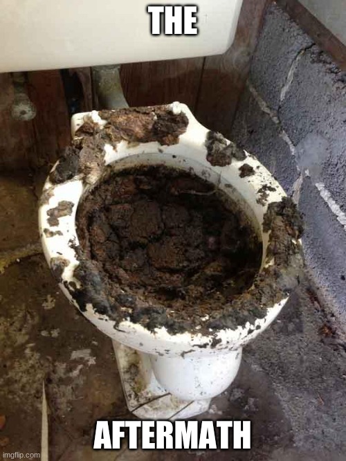 toilet | THE AFTERMATH | image tagged in toilet | made w/ Imgflip meme maker