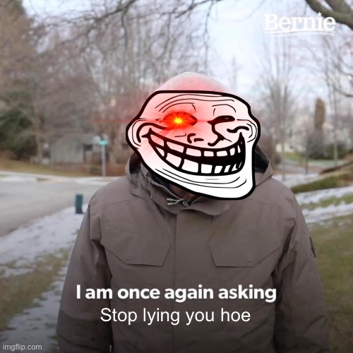 Stop lying you hoe | image tagged in memes,bernie i am once again asking for your support | made w/ Imgflip meme maker