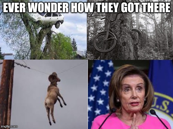 EVER WONDER HOW THEY GOT THERE | image tagged in polosi,conservatives | made w/ Imgflip meme maker