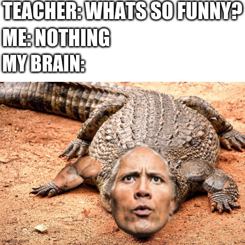 Dwayne the croc Jonson! | TEACHER: WHATS SO FUNNY? ME: NOTHING; MY BRAIN: | image tagged in dwayne johnson,crossover,crocodile,funny,fun,memes | made w/ Imgflip meme maker