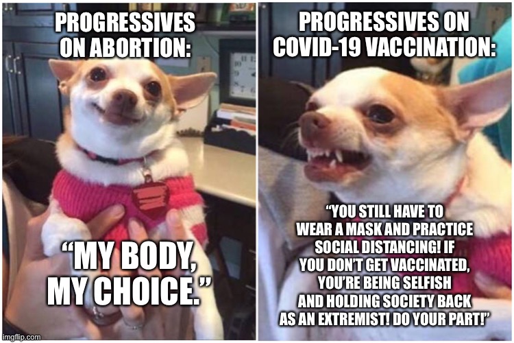 My body my choice, unless COVID is involved according to progressives | PROGRESSIVES ON COVID-19 VACCINATION:; PROGRESSIVES ON ABORTION:; “YOU STILL HAVE TO WEAR A MASK AND PRACTICE SOCIAL DISTANCING! IF YOU DON’T GET VACCINATED, YOU’RE BEING SELFISH AND HOLDING SOCIETY BACK AS AN EXTREMIST! DO YOUR PART!”; “MY BODY, MY CHOICE.” | image tagged in before and after chihuaha,memes,progressives,liberal logic,covid,abortion | made w/ Imgflip meme maker