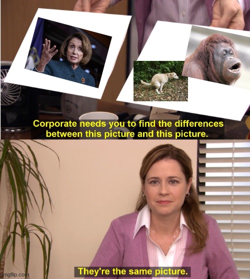 ahhh the truth | image tagged in memes,they're the same picture | made w/ Imgflip meme maker
