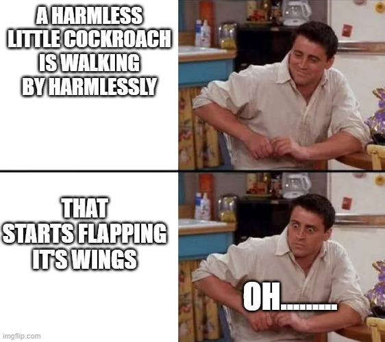 Surprised Joey | A HARMLESS LITTLE COCKROACH IS WALKING BY HARMLESSLY; THAT STARTS FLAPPING IT'S WINGS; OH......... | image tagged in surprised joey | made w/ Imgflip meme maker