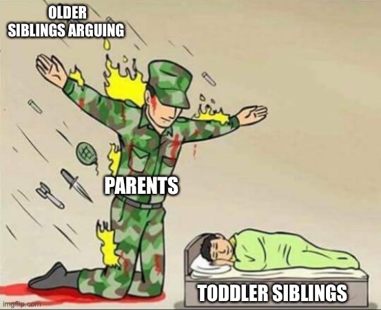 EXTREMELY RELATABLE | OLDER SIBLINGS ARGUING; PARENTS; TODDLER SIBLINGS | image tagged in soldier protecting sleeping child | made w/ Imgflip meme maker