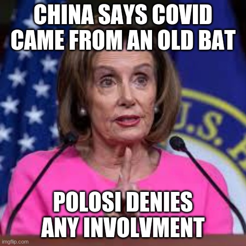 poolosi | CHINA SAYS COVID CAME FROM AN OLD BAT; POLOSI DENIES ANY INVOLVMENT | image tagged in nancy polosie,conservatives | made w/ Imgflip meme maker